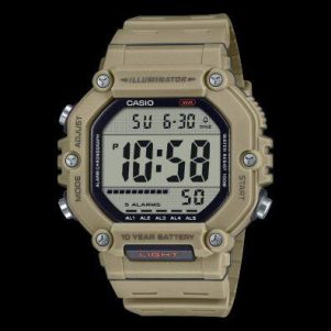 CASIO AE-1600H-5AV