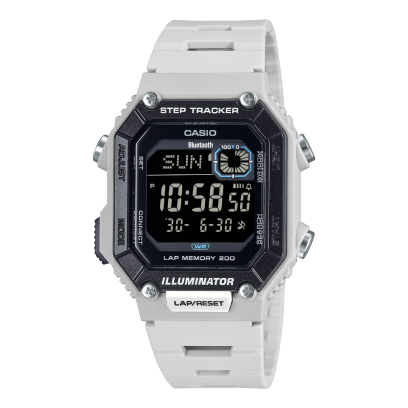 WS-B1000-8BV