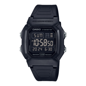 W-800H-1BV