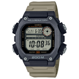 DW-291HX-5AV