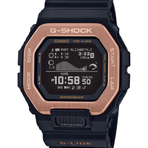 GBX-100NS-4