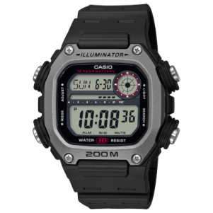 DW-291H-1AV